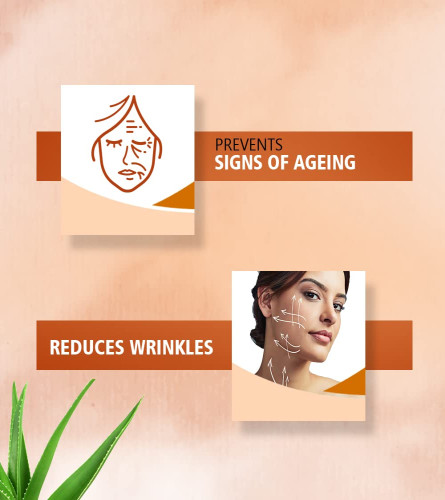 Sunny Herbals Anti Aging Lotion 80 ml (Pack of 2)