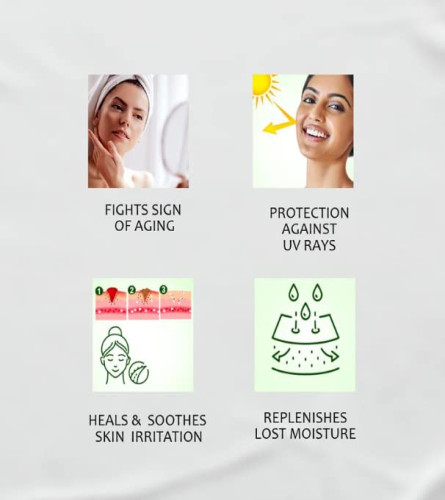 Sunny Aloevera & Calendula All Purpose Face Cream 500 gm