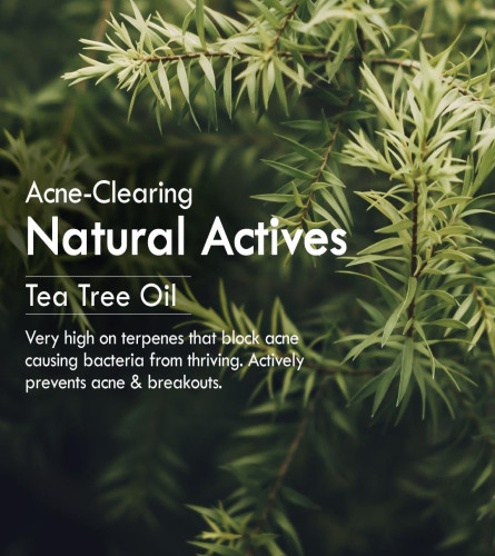 Nat Habit Neem Gel Face Wash 100 g (Pack of 2)