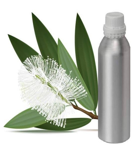 Cajuput Essential Oil 500 Ml In United States