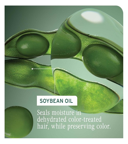 Biolage Professional Color Last Champú para Cabello Teñido