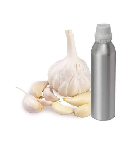 Garlic Essential Oil 1 liter In United States