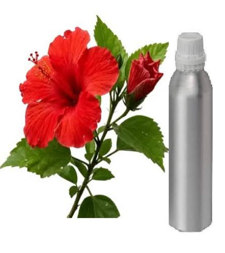 hibiscus essential oil 500 ml in united kingdom