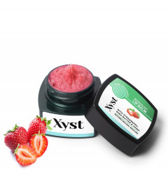 XYST Lip Balm for Women & Men With Vitamin E