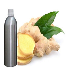 ginger-essential-oil-100-pure-natural-therapeutic-aromatherapy-100ml-free-shipping-world
