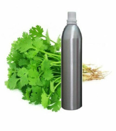 coriander-essential-oil-100-pure-natural-therapeutic-aromatherapy-250ml-free-shipping-world