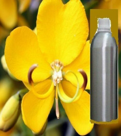 cassia-pure-essential-oil-natural-organic-therapeutic-aromatherapy-500ml-free-shipping-world
