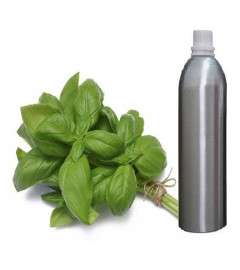 basil-essential-oil-100-pure-natural-therapeutic-aromatherapy-250-ml-free-shipping-world