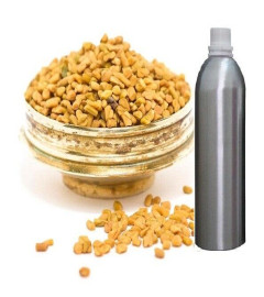 fenugreek-essential-oil-pure-natural-methi-therapeutic-aromatherapy-100ml-free-shipping-world