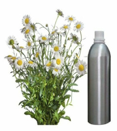 essential-oil-chamomile-100-pure-natural-therapeutic-aromatherapy-250-ml-free-shipping-world