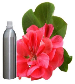 geranium-essential-oil-pure-100-natural-therapeutic-aromatherapy-100-ml-free-shipping-world
