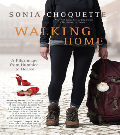 walking-home--a-pilgrimage-from-humbled-to-healed-paperback--free-shipping-worldwide